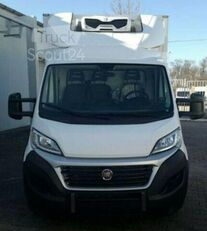 冷藏车 FIAT Ducato Maxi