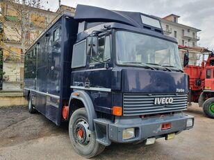 马车 IVECO Turbo 175.24