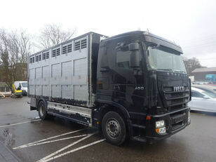 牲畜运输车 IVECO Stralis 450 Élőállatszállító