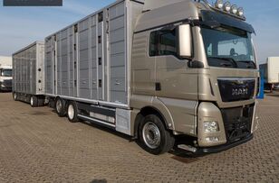 牲畜运输车 MAN TGX 26.440 6x2 Állatszállító + szerelvény + 牲畜运输拖车