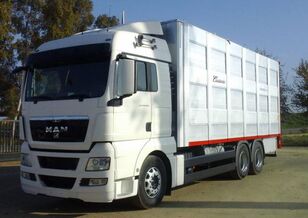 牲畜运输车 MAN TGX 28 480