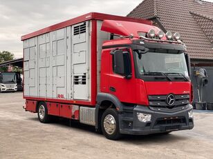 牲畜运输车 MERCEDES-BENZ Antos 1833 Állatszállító