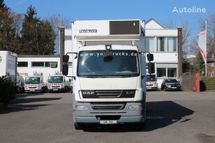 冷藏车 DAF LF55.300